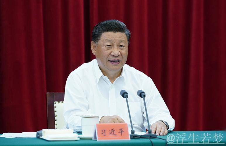 习近平主持中央财经委员会第六次会议